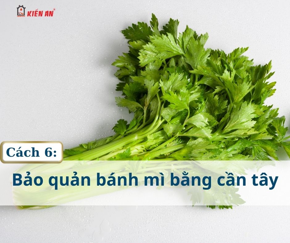 Bảo quản bánh mì bằng cần tây