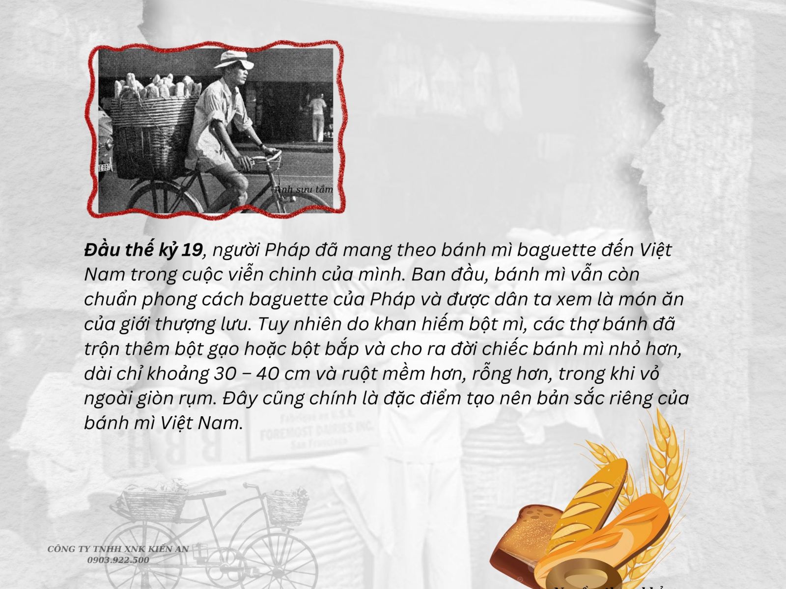 Giai đoạn đầu