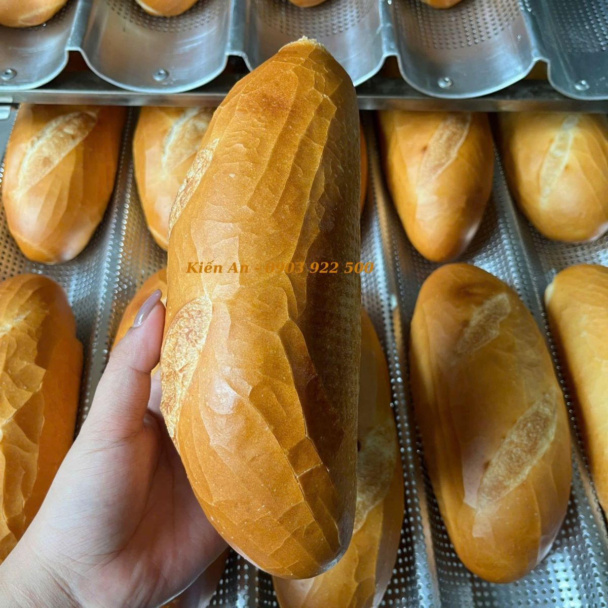 Năng suất vượt trội của lò nướng Kiến An