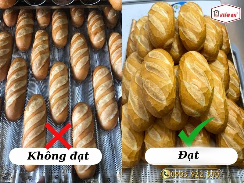 Nhung-he-luy-khi-lua-chon-day-chuyen-san-xuat-banh-mi-tuoi-kem-chat-luong