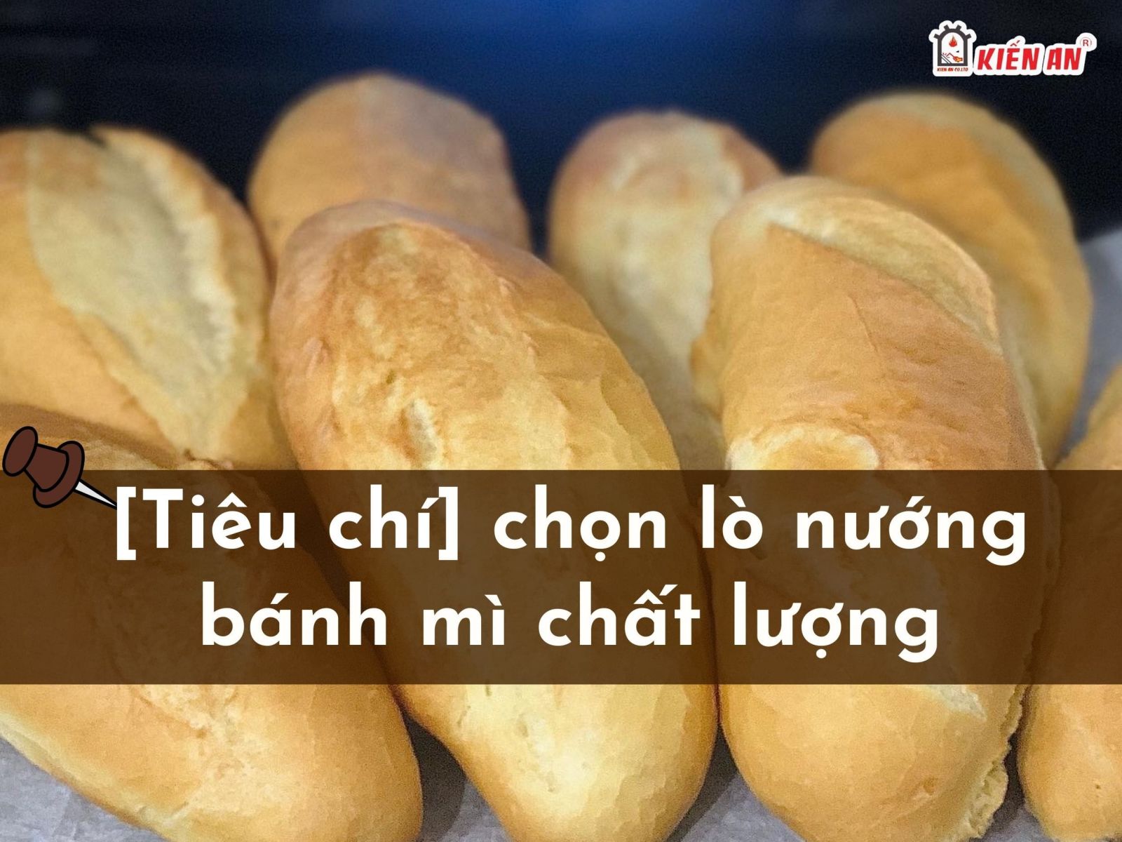 Tiêu chí chọn lò nướng bánh mì chất lượng không phải ai cũng biết