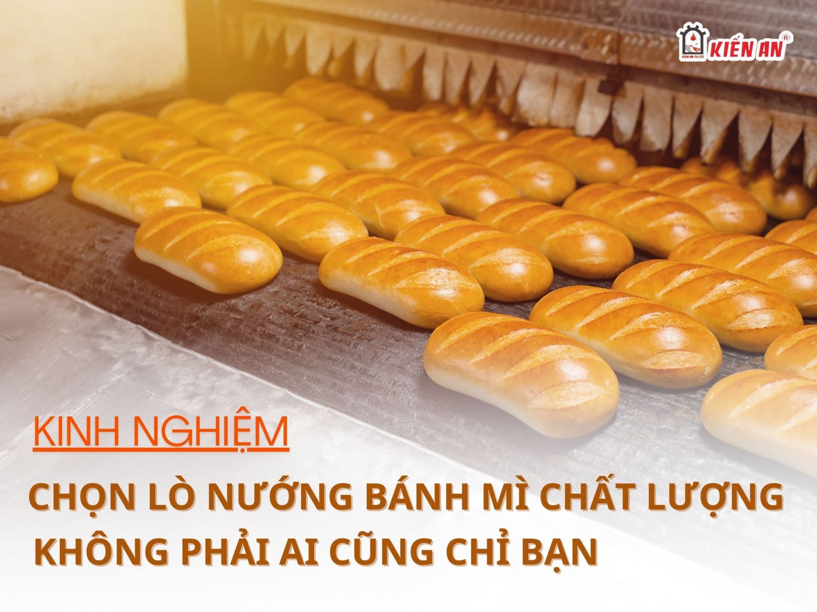 Kinh nghiệm chọn lò nướng bánh mì chất lượng không phải ai cũng chỉ bạn 